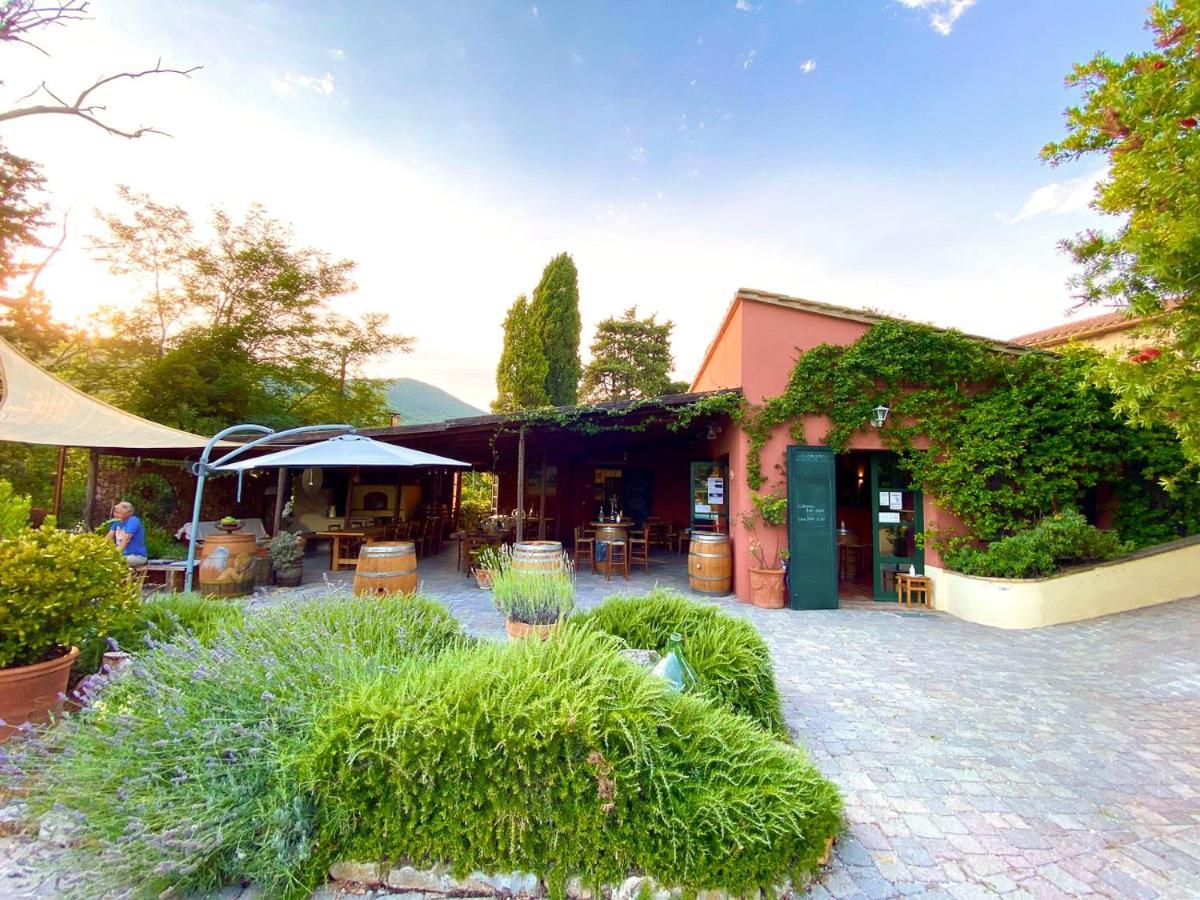 Agriturismo Terenzana Aparthotel Riparbella Bagian luar foto