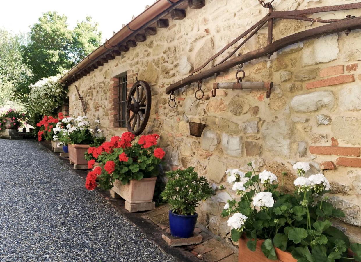 Agriturismo Terenzana Aparthotel Riparbella Bagian luar foto