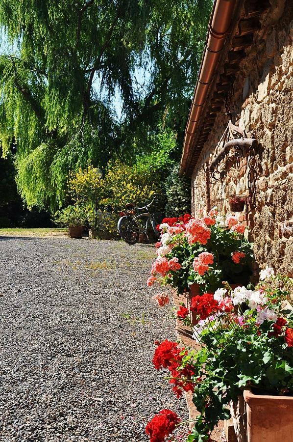 Agriturismo Terenzana Aparthotel Riparbella Bagian luar foto