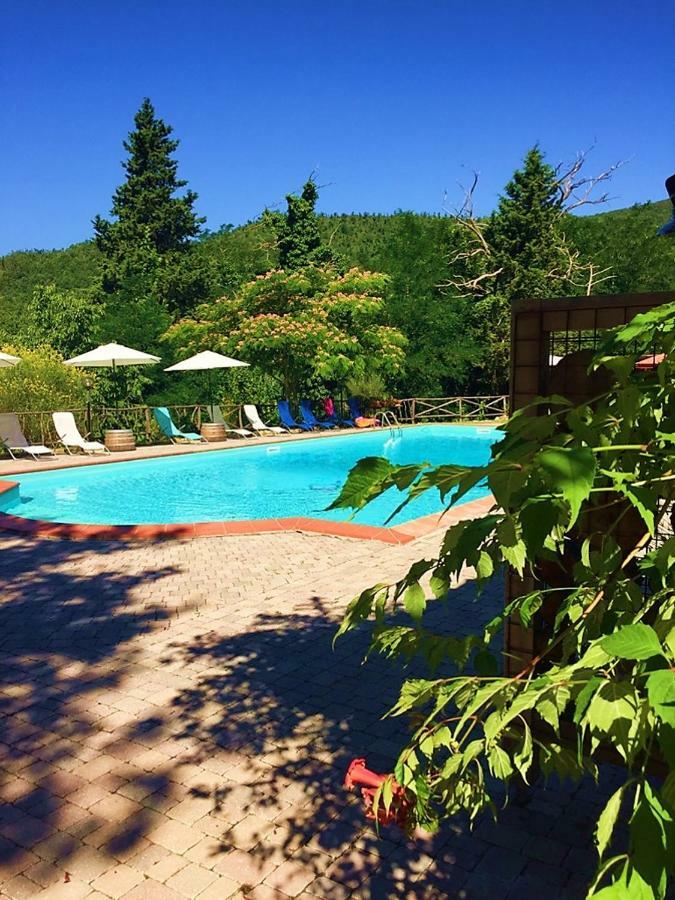 Agriturismo Terenzana Aparthotel Riparbella Bagian luar foto